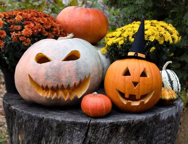 Think a<em></em>bout how many critters may have been hanging out inside these pumpkins.