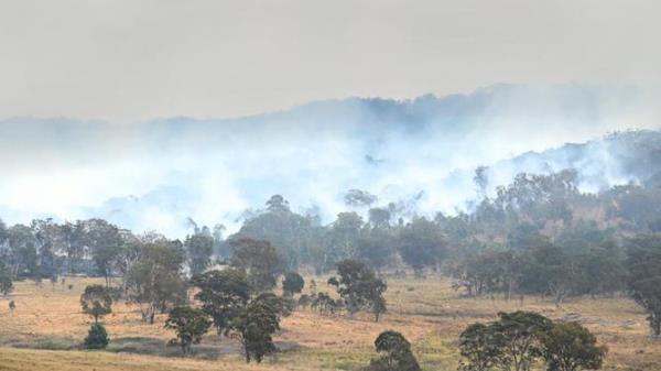 Bushfire Coverage