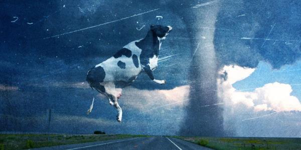 A cow flies through a tornado in Twister