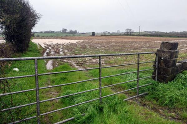 Rachel Martin: Prayers are being said to bring an end to the incessant rainfall