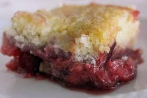 So<em></em>nker is a traditio<em></em>nal dessert from Surry County, North Carolina. It is a deep-dish baked dessert made with fruit and a thick pancake-like batter. 