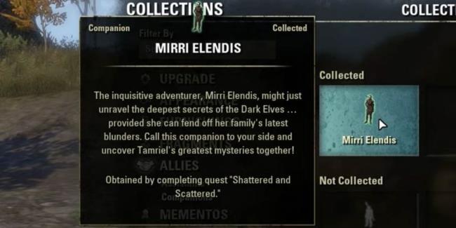 Mirri Elendis' des<em></em>cription in the companions collection screen