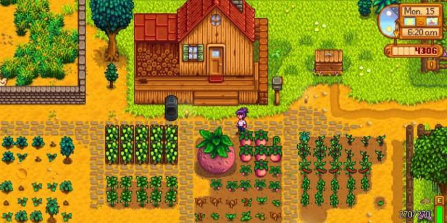 stardew valley best summer crops how to make mo<em></em>ney in stardew valley guide